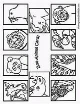 Free Zoo Animal Coloring Pages Printable Download  sketch template