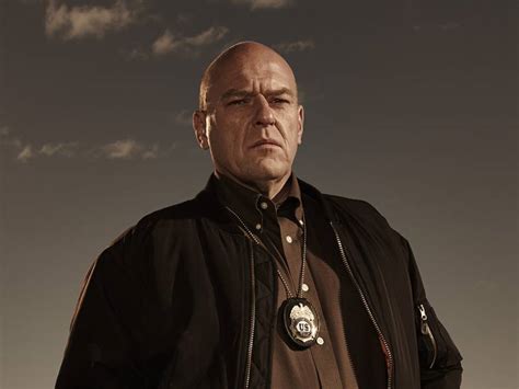 Hank Schrader | Breaking Bad Wiki | FANDOM powered by Wikia