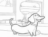 The Secret Life Of Pets Coloring Pages  Best For Kids sketch template