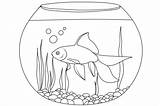 Simple Aquarium coloring Page  Download Print Or Color Online For Free sketch template