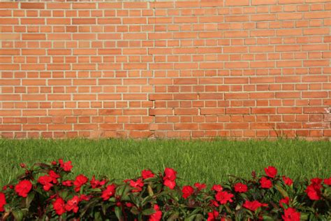 Bildet : gjerde, anlegg, plen, blomst, vegg, rose, gul, busk, murverk, rød murstein 3456x2371 ...