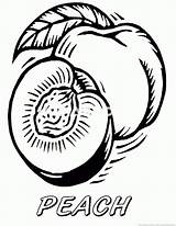 Peach Coloring Pages  pages Color sketch template