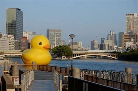 Gigantic Rubber Duckie that floats around the world and is the creation of Dutch artist ...