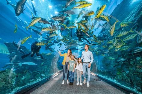 Dubai Mall Aquarium Entrance with Penguins 2024