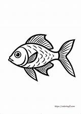 Fish Coloring Pages  39 Free Printable Sheets sketch template