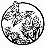 Butterflies Coloring Pages Free Printable Butterfly For  sketch template
