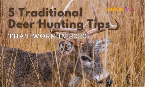 5 Traditional Deer Hunting Tips | CarbonTV Blog