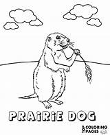 Prairie Dog Drawing sketch template