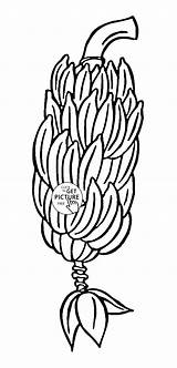 Big bunch Of Bananas Fruit coloring Page For Kids Fruits Pages  sketch template