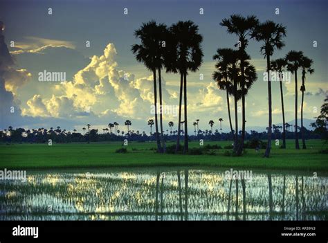 Prey veng province hi-res stock photography and images - Alamy