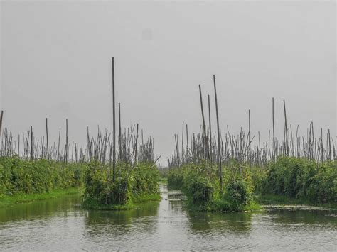 Inle Lake Boat Tour—The Authentic Aspect Charms