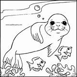 Seal Coloring Sheet Pages sketch template