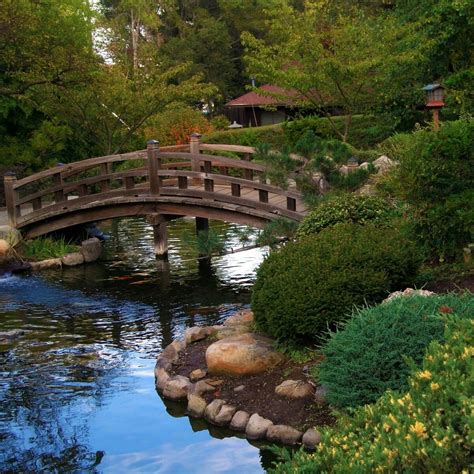 Bridge in a Japanese Garden | Japanese garden, Japanese garden design ...