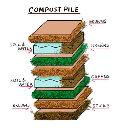 Why Does My Compost Bin Smell Bad? 5 Common Reasons | Yuzu Magazine