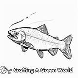 Trout Coloring Pages  Free & Printable sketch template