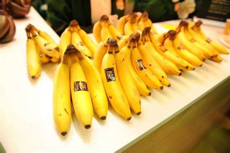 Non-GMO breeding and agroecology are helping to save the banana | The ...