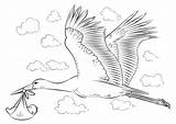 Coloring Ecosystem Bociany Storks Druku Kolorowanki Stork Bocian  sketch template