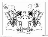 Frog Mewarnai Sapo Frosch Disegno Frogs Sheet Desenho Rana Rane Hewan  sketch template
