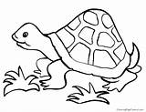 Gopher Coloring Page At GetColoringscom  Free Printable Colorings sketch template