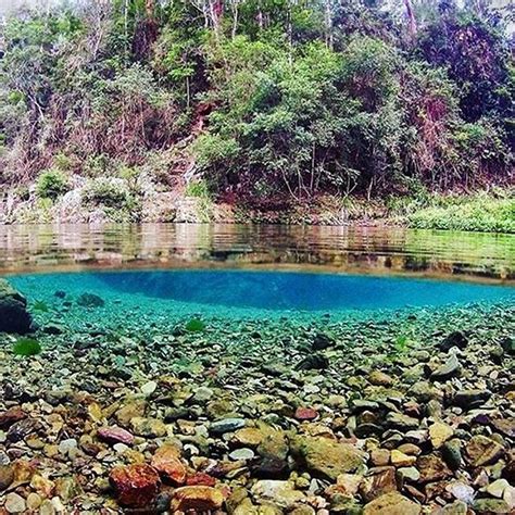 Conondale National Park - Queensland | National parks, Incredible places, Camping area