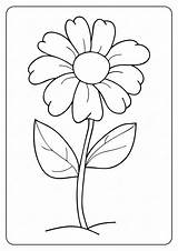 Bonita Flor Para colorear Imprimir E Dibujar –ColoringOnlyCom sketch template