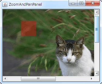 Java Swing Tips: An Image inside a JScrollPane zooming by mouse wheel and panning by mouse click ...