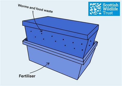 Build a worm composter | Scottish Wildlife Trust