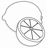Lemon Printable Coloring Page sketch template
