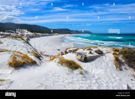 Friendly Beaches, Tasmania, Australia Stock Photo - Alamy