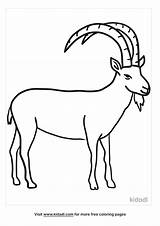 Mountain Goat Outline sketch template