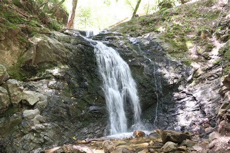 Uvas Canyon Waterfalls - South Bay Area's 6-Waterfall Refuge