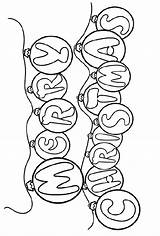 Dr Pepper Coloring Pages Coloring Pages sketch template