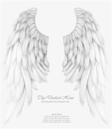 Download White Angel Wings Transparent Clipart Drawing - White Angel Wings Transparent ...