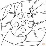 Ladybug Coloring Page  Free Printable Coloring Pages sketch template