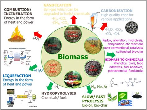 How Biomass Is Powering Communities | Reurasia