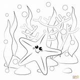 Starfish Coloring Book Pages sketch template