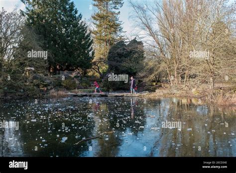 Cambridge botanic gardens winter hi-res stock photography and images - Alamy