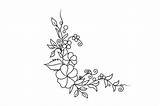 Flower Outline Vector Coloring Book Graphic By Coxvect · Creative Fabrica sketch template