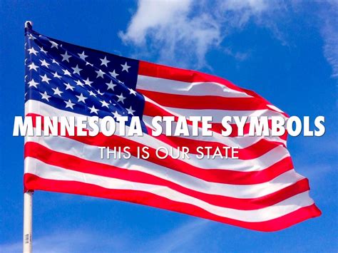 Minnesota State Symbols by Austin Hesse