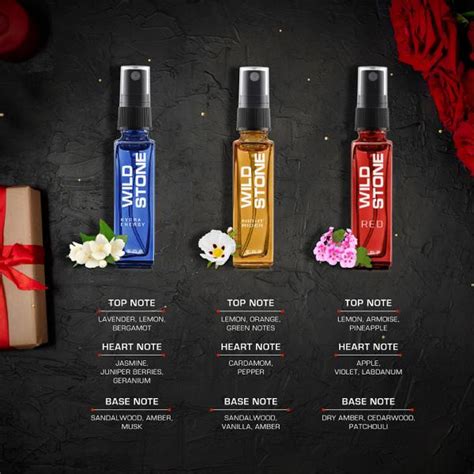 Wild Stone Perfume Valentine Gift Set Pack of 6 (8ml Each) - JioMart