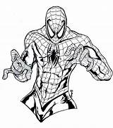 Free Printable Spiderman Coloring Pages For Kids sketch template