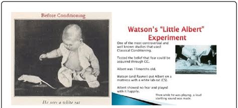 💐 What is little albert experiment. "LITTLE ALBERT" EXPERIMENT ...