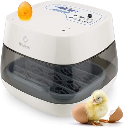 Best Egg Incubators 2022| Top Professional Egg Incubator for the Money