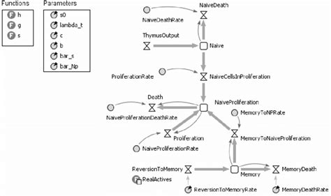 The system dynamics model, functions and parameters | Download Scientific Diagram