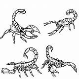 Free Printable Scorpion Coloring Pages For Kids sketch template