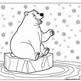 Winter polar Bear coloring Page Download Or Print For Free sketch template