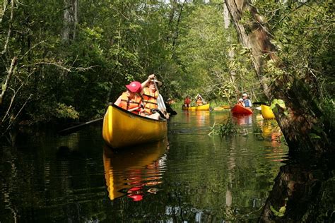 Your Guide to Alligator River National Wildlife Refuge, NC