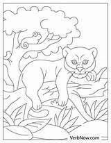 Panther Coloring Pages Printable sketch template