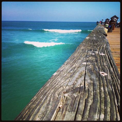 Perspective from the Flagler Beach pier | Flagler beach pier, Flagler beach, Beach photos