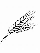 Wheat coloring Pages sketch template